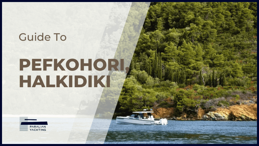 Guide to Pefkohori Halkidiki