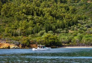 The Saxdor 320 GTO yacht anchored in a secluded cove in Halkidiki surrounded by lush green trees and calm, clear waters